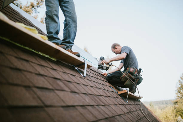 Best Commercial Roofing Services  in Decatur, MI